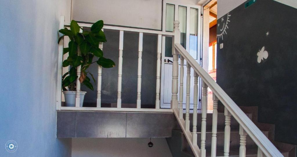Kolina D'Sol Bed & Breakfast Ponta Do Sol Exterior foto